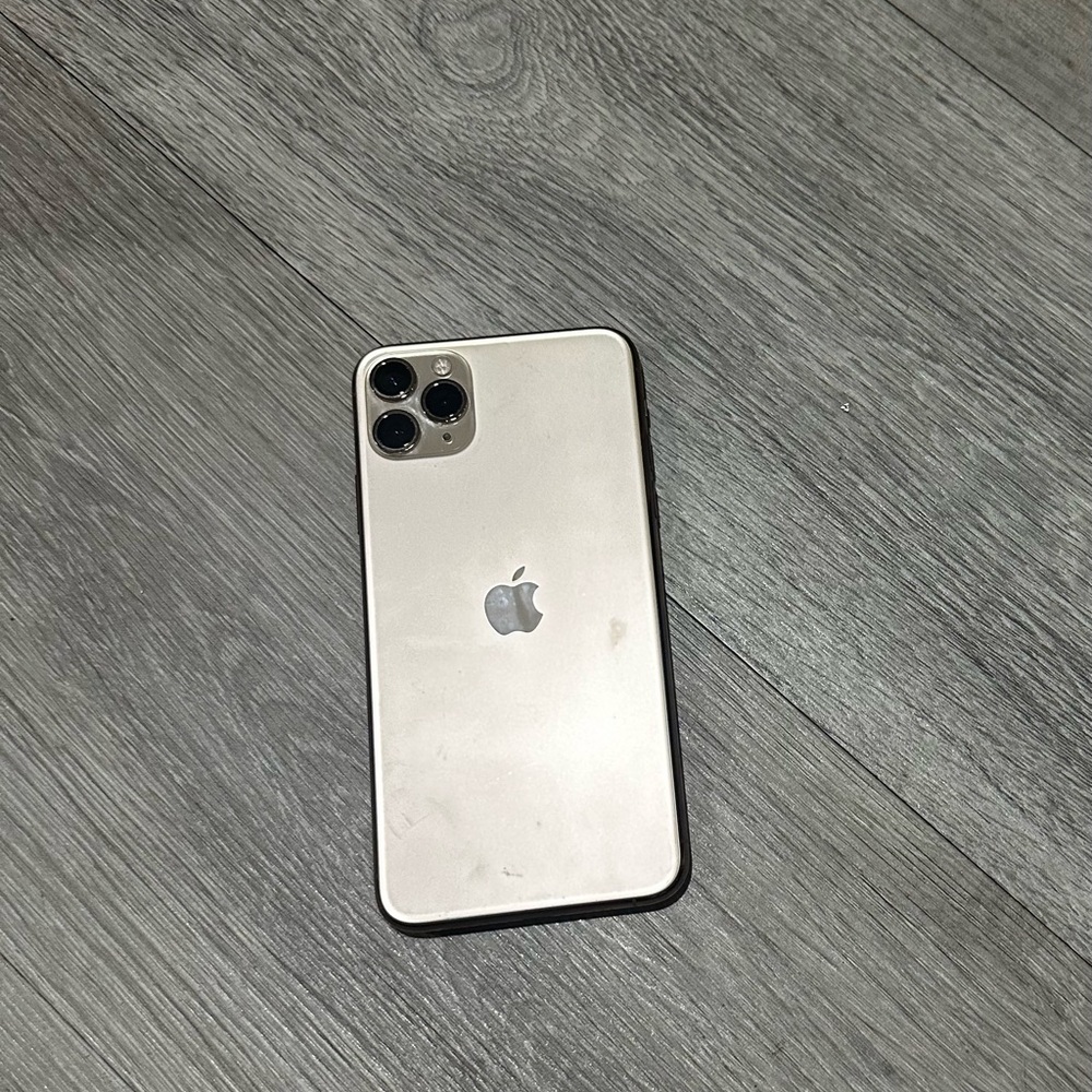 iPhone 11 Pro Max with TikTok